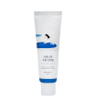 ROUND LAB - Birch Juice Moisturizing Sunscreen SPF50