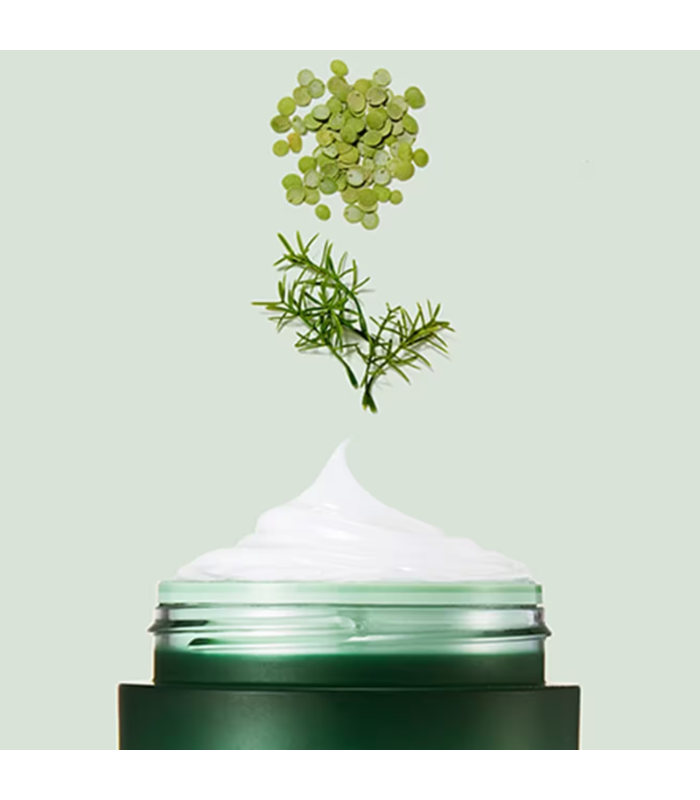 Laneige - Cica Sleeping Mask - Maschera Viso