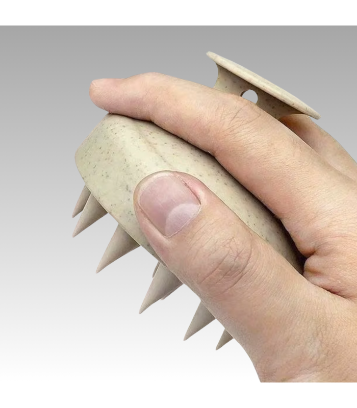 Set di spazzole per capelli