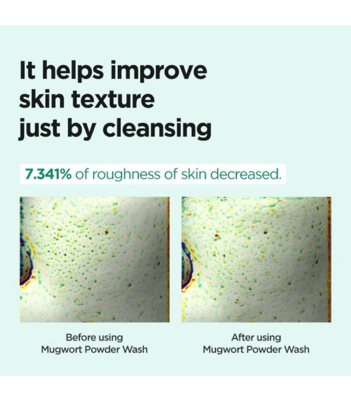 Isntree - Mugwort Calming Powder Wash - Polvere enzimatica