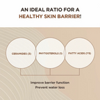 SKIN1004 – Madagascar Centella Probio-Cica Intensive Ampoule - Siero viso anti-età