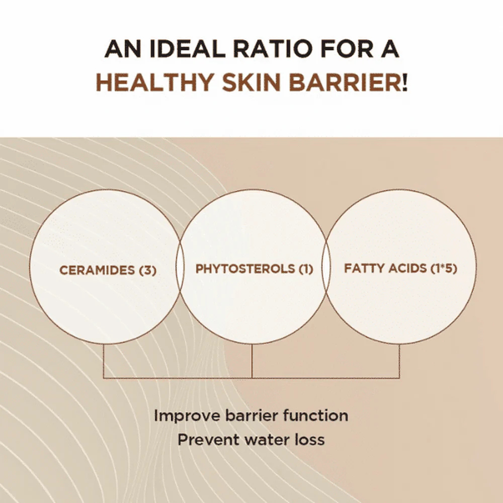 SKIN1004 Madagascar Centella Probio-Cica Intensive Ampoule - Siero viso anti-età