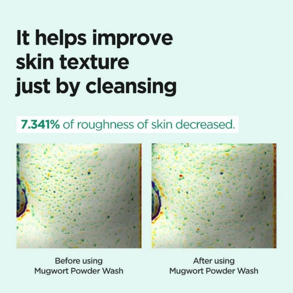 Isntree - Mugwort Calming Powder Wash - Detergente viso in polvere lenitivo all’artemisia