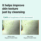 Isntree – Mugwort Calming Powder Wash - Detergente viso in polvere lenitivo all’artemisia
