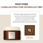SKIN1004 – Madagascar Centella Probio-Cica Enrich Cream - Crema viso nutriente lenitiva alla centella asiatica e probiotici