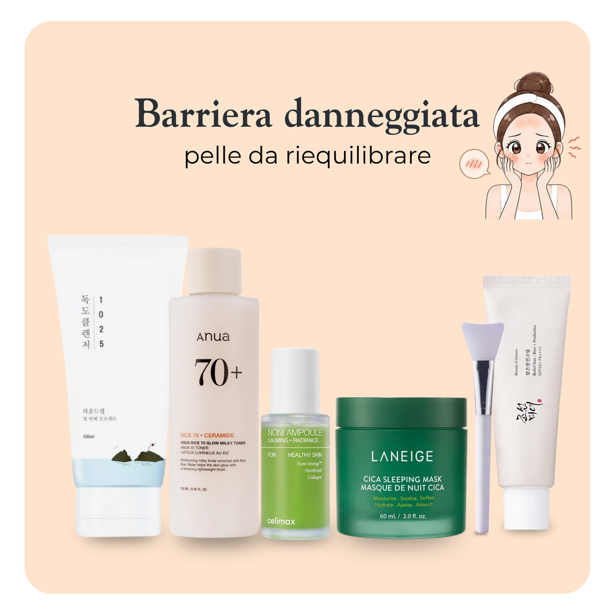 Kit Barriera Danneggiata