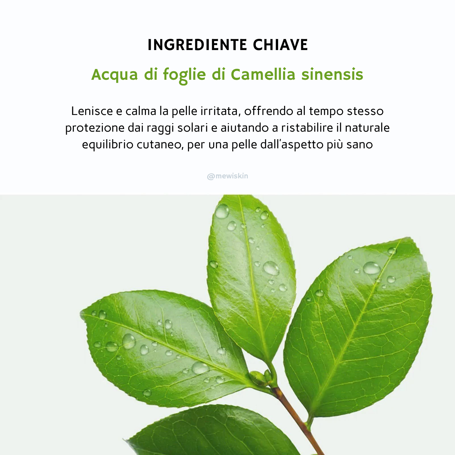 Green Tea Fresh Sunscreen SPF50 - Protezione solare viso lenitiva